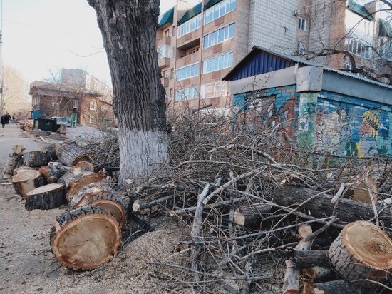     Фото: Елены Белоусовой