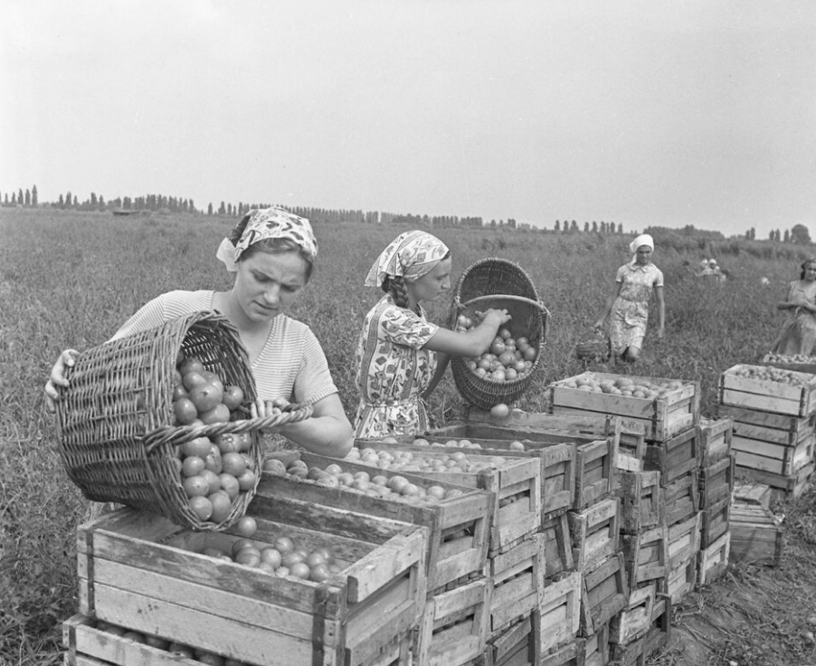 Фото И. Майорова / РИА Новости