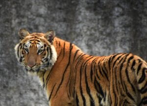    Фото: unsplash.com / Rishabh Pandoh Ольга Суханова