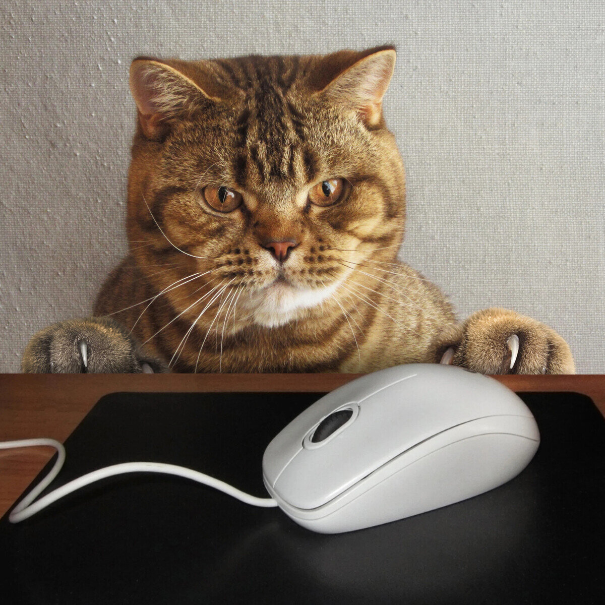 Источник: Яндекс картинки