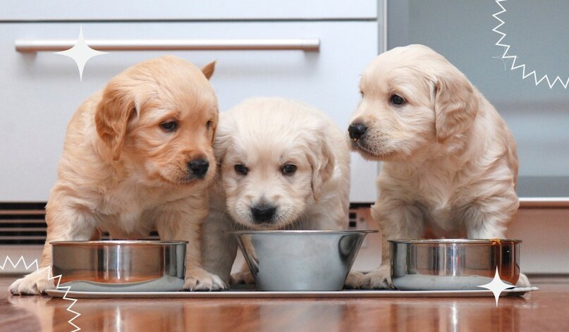 Создать карусельДобавьте описание