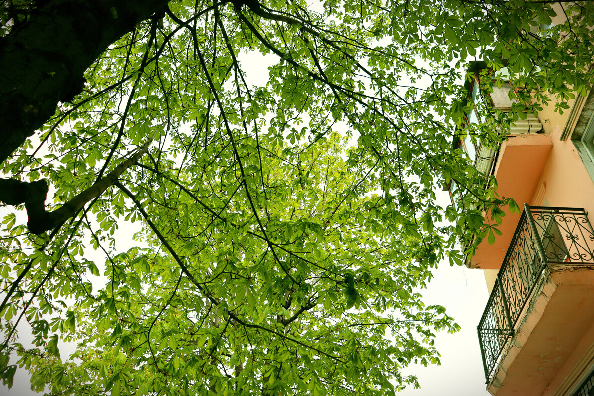 Фото автора. Как вам балкон?