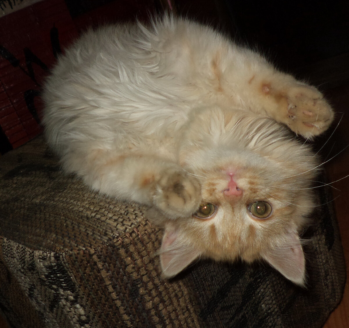 Анфиска в юности