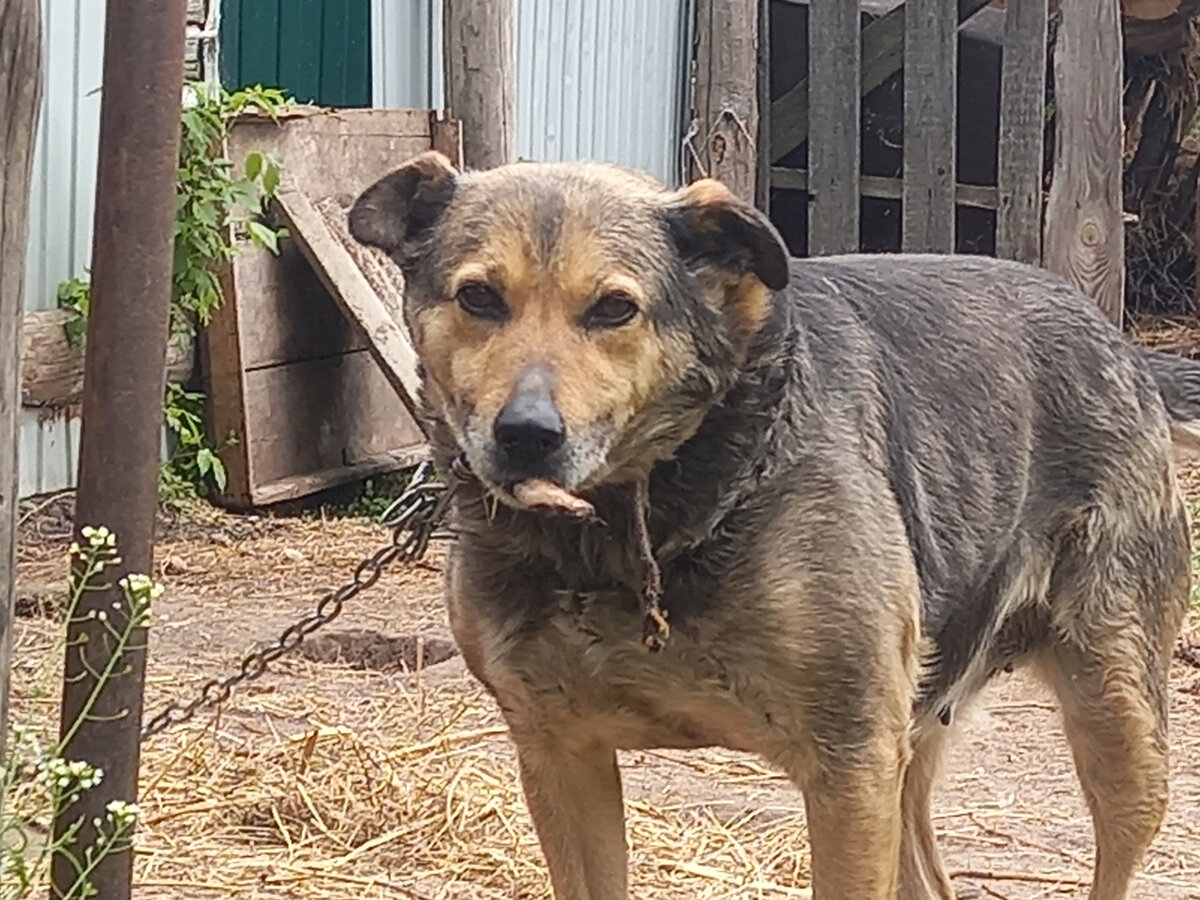 Кристина 😎