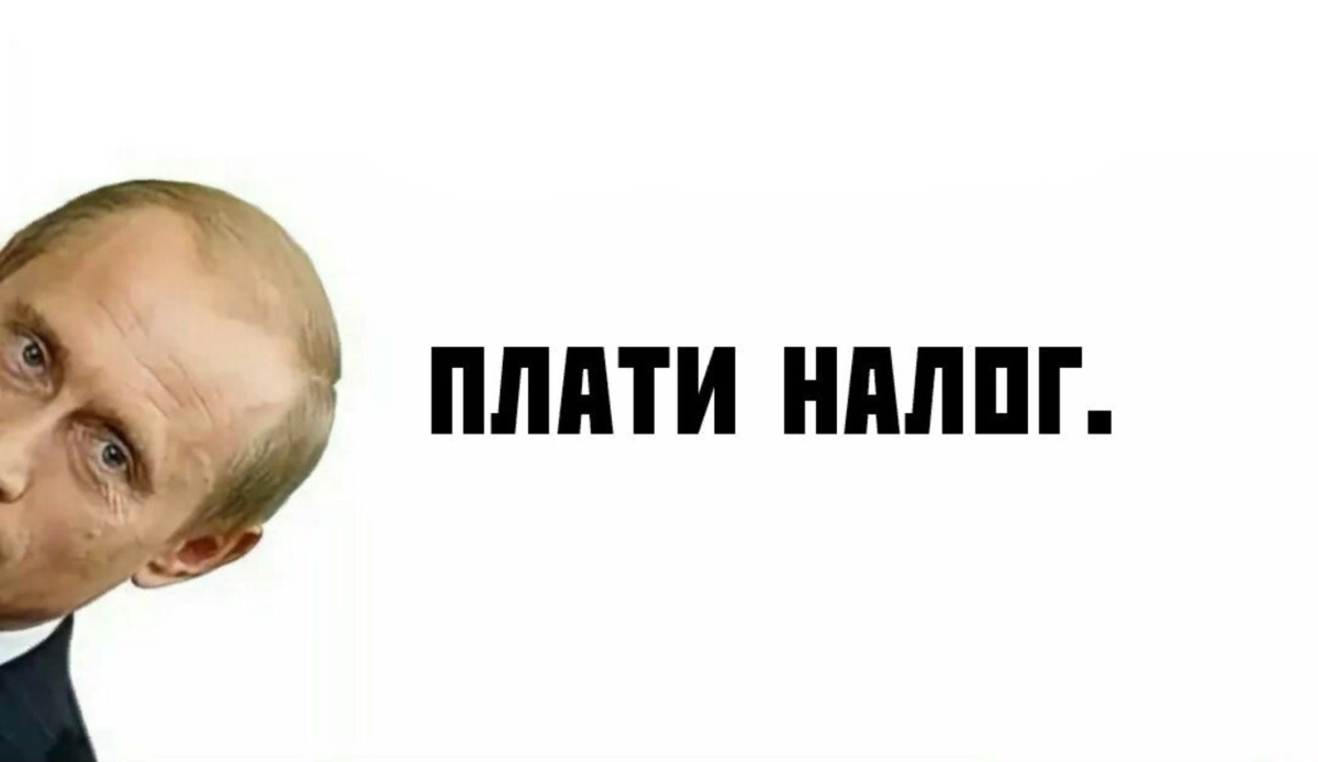 А ты заплатил налоги картинки