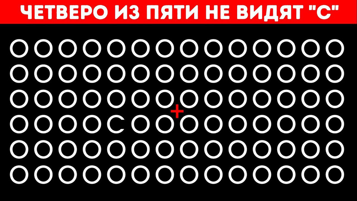 Источник www.storyblocks.com