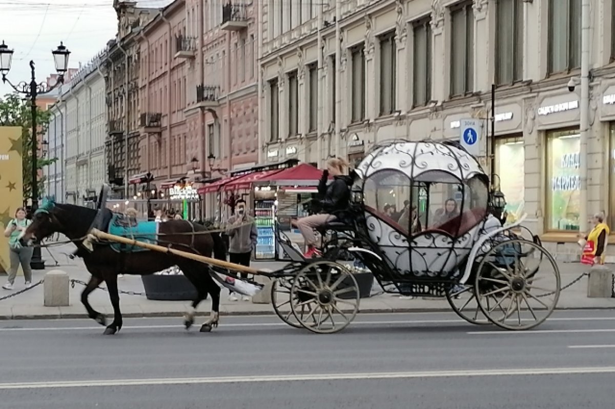   Пригласим Китай и молодежь. Что ждет туристическую отрасль Петербурга