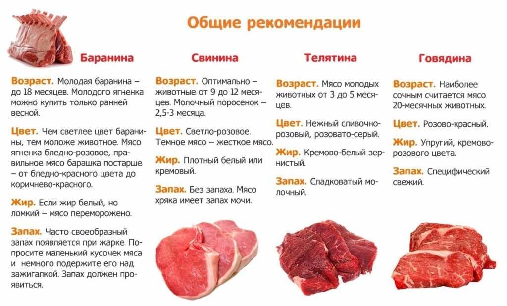 Почему говядина дороже свинины: основные причины и преимущества