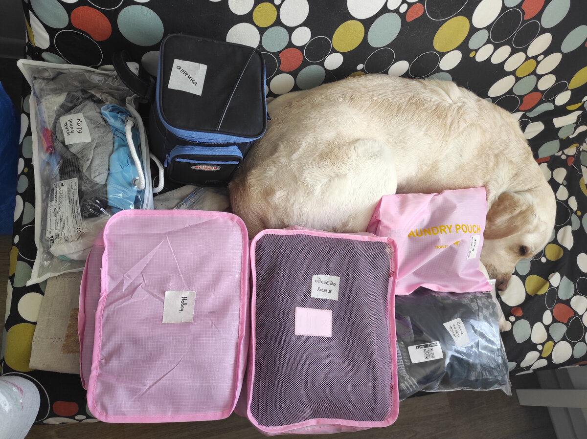 Кимико тоже участвует в сборах))