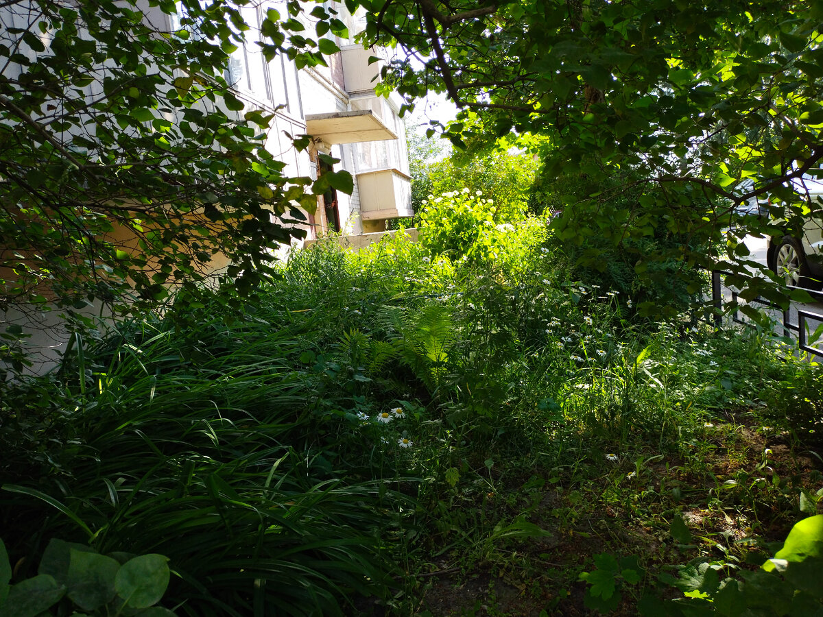 Исходное фото 