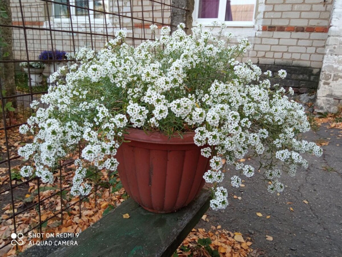 Всего один корень! 