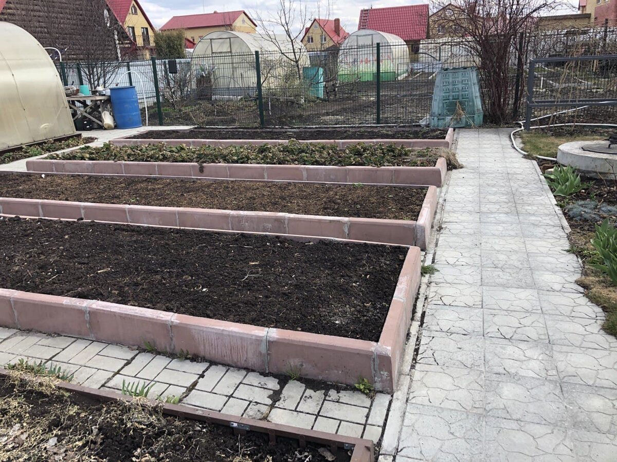 Наш урбанистический огород