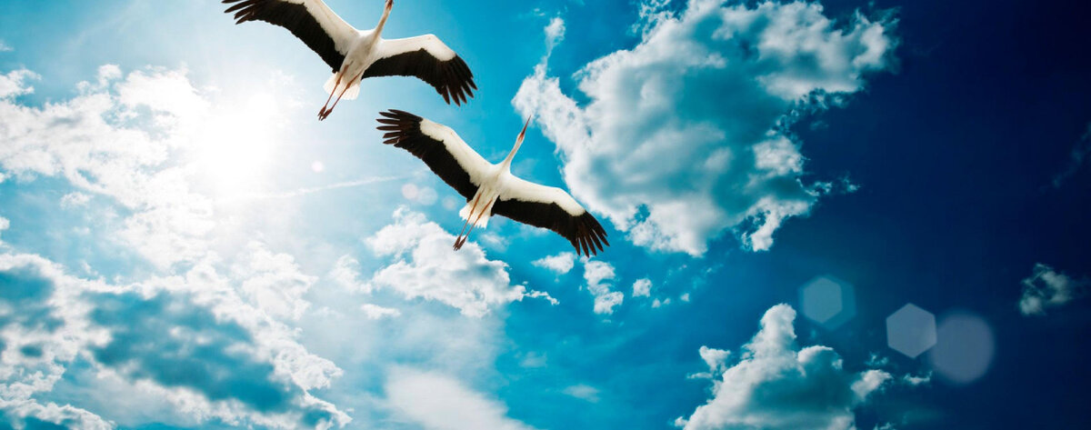 Фото из публичного доступа.