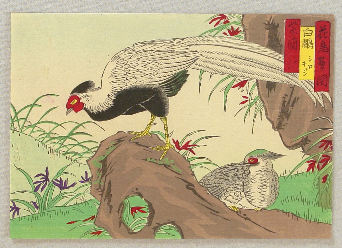 Artist:Utagawa Hiroshige III Title:Bird and Flower - White Pheasants Date:Ca. 1880s.