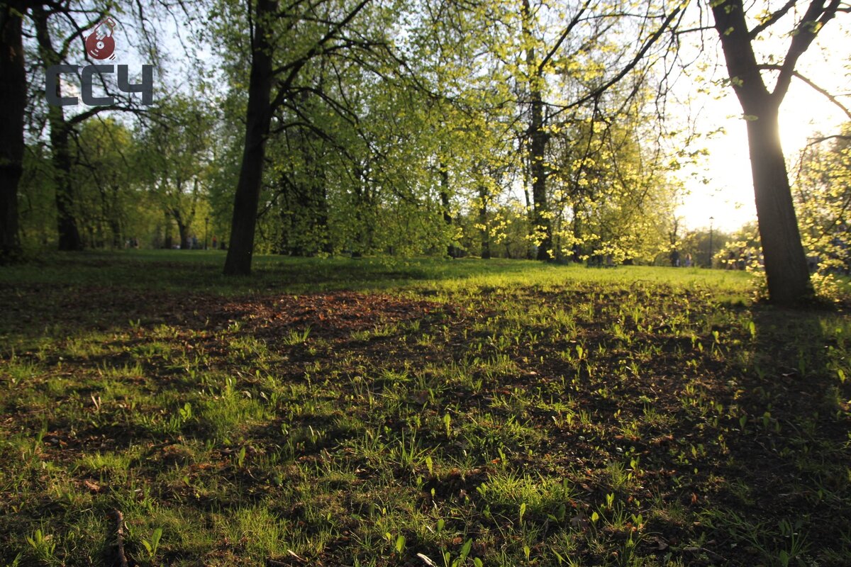 личный архив