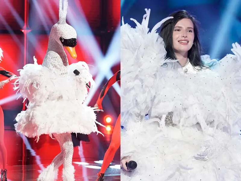 Звезды зарубежного шоу. The masked Singer Swan. The masked Singer Снегирь.