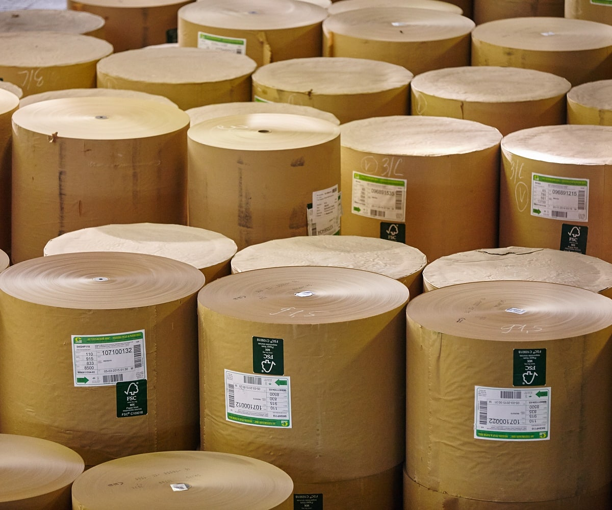 Фото: Segezha Group