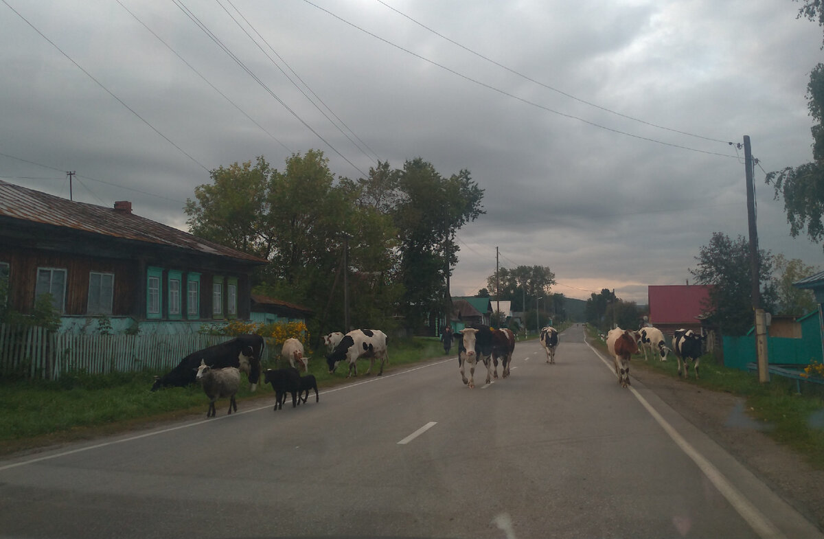 Утро в деревне
