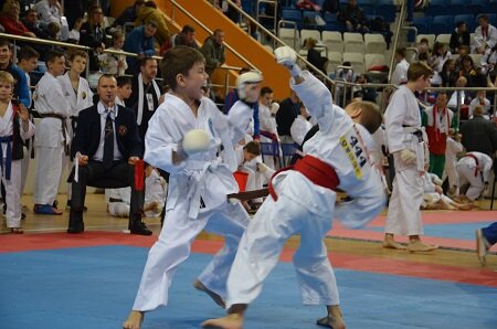 спортсмены WKC и WUKF каратэ