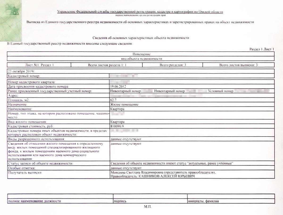 Запрос в росреестр через мфц. Техпаспорт ЕГРН. Как выглядит ЕГРН на квартиру фото. Номер выписки ЕГРН от 2019 г.