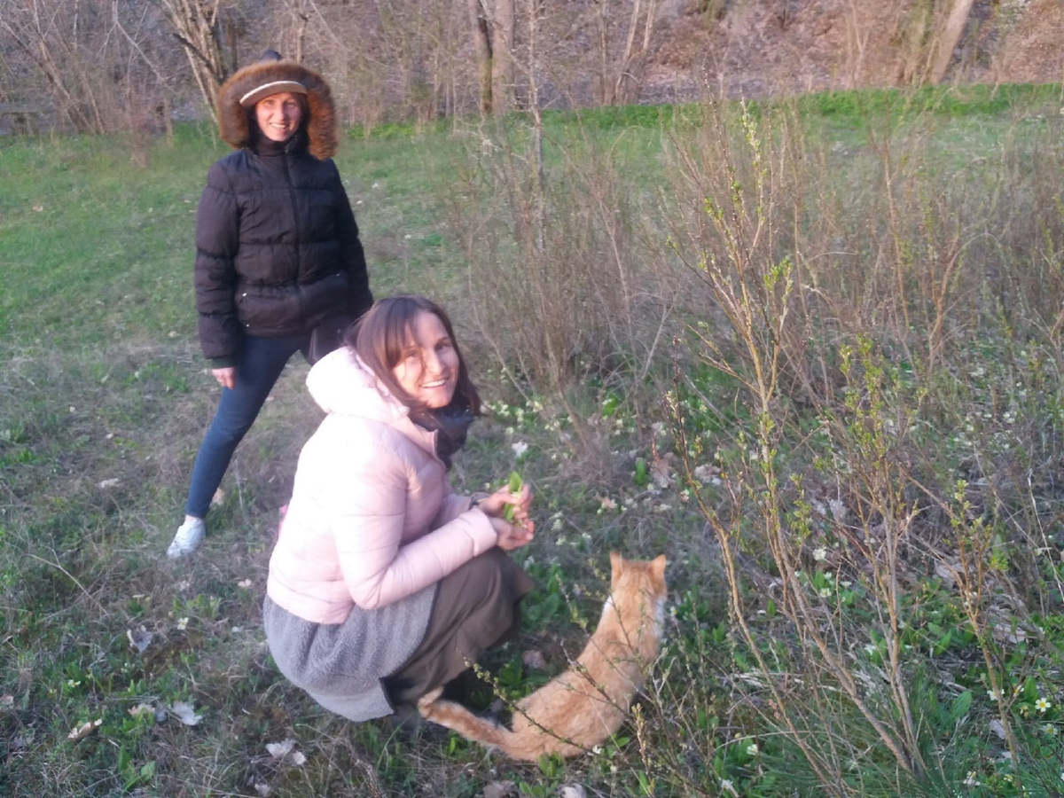 Мой кот ходит со мной почти везде, в горы тоже. 