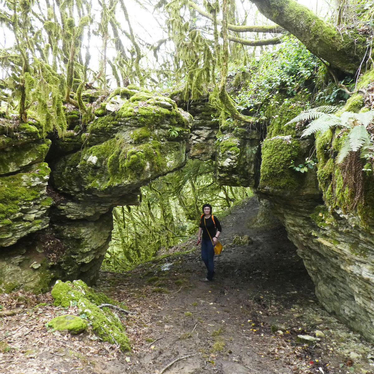 Самый необычный водопад Абхазии: как добраться самостоятельно, в какой ...