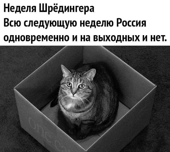 Такие картинки гуляют по всем рабочим чатам страны