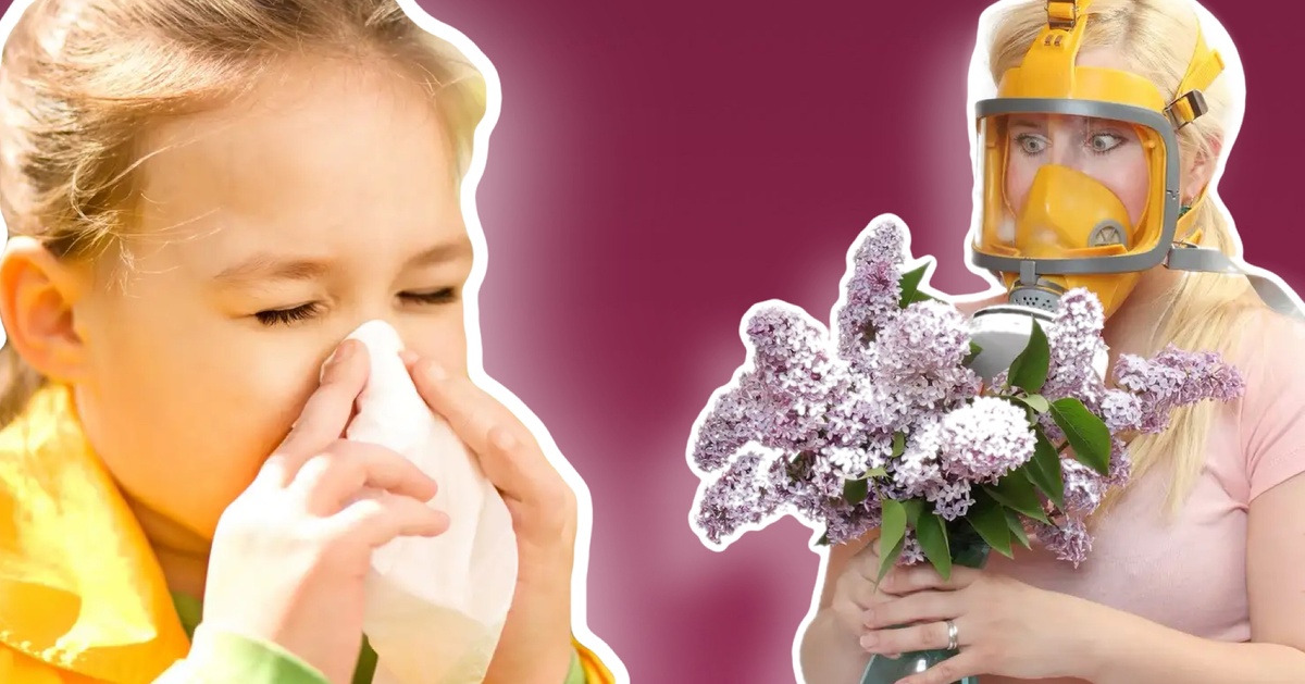 Как выжить аллергику? 