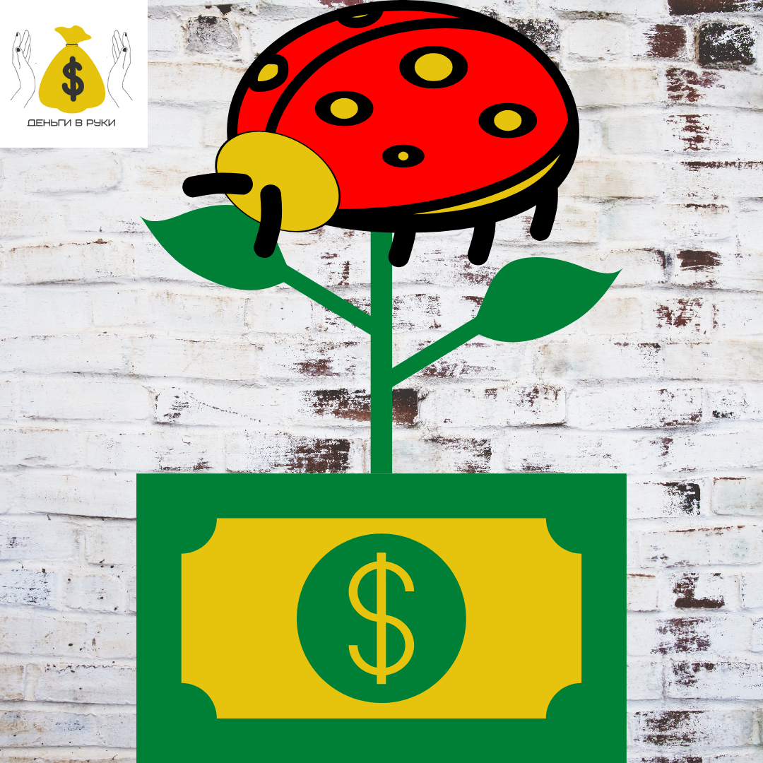 Божья коровка и деньги