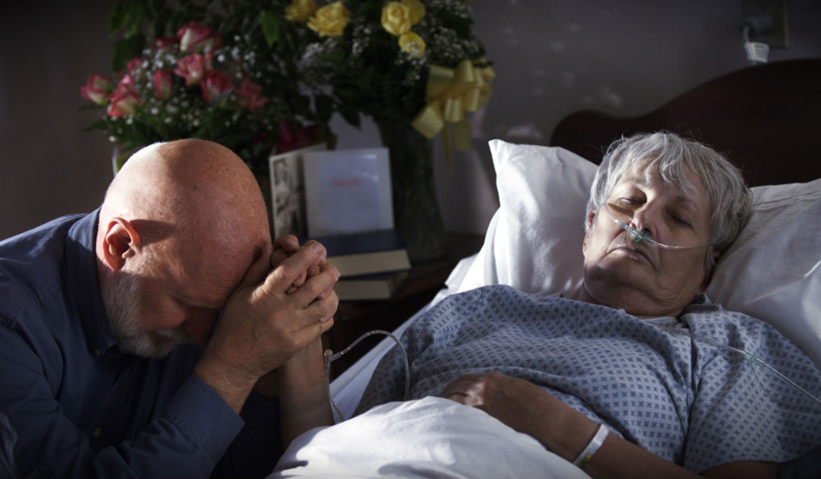 Из открытых источников в Интернет.