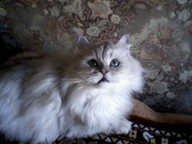 Еремей