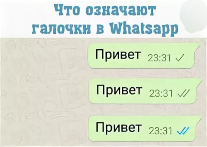 Что значат галочки в ватсап. Галочки в ватсапе. Две галочки в WHATSAPP. Что означают галочки в WHATSAPP В сообщениях.