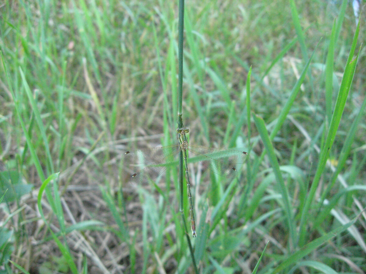  Красавица, но может упорхнуть в один миг. Так и капитализм собрался от нас исчезнуть.