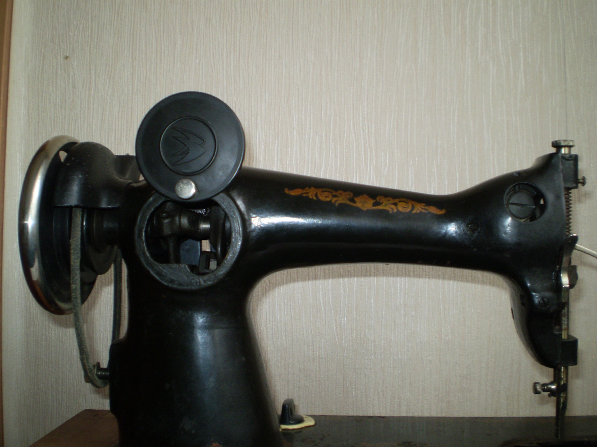 Фото сделано автором.