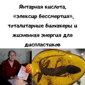 Янтарная кислота — эликсир бессмертия для растений