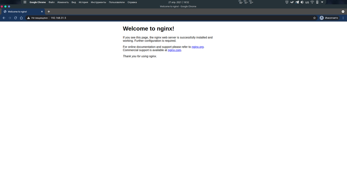 Приветственное сообщение от Nginx 