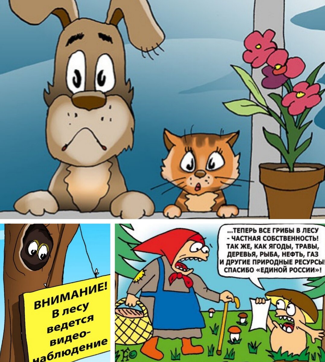 Яндекс-картинки.