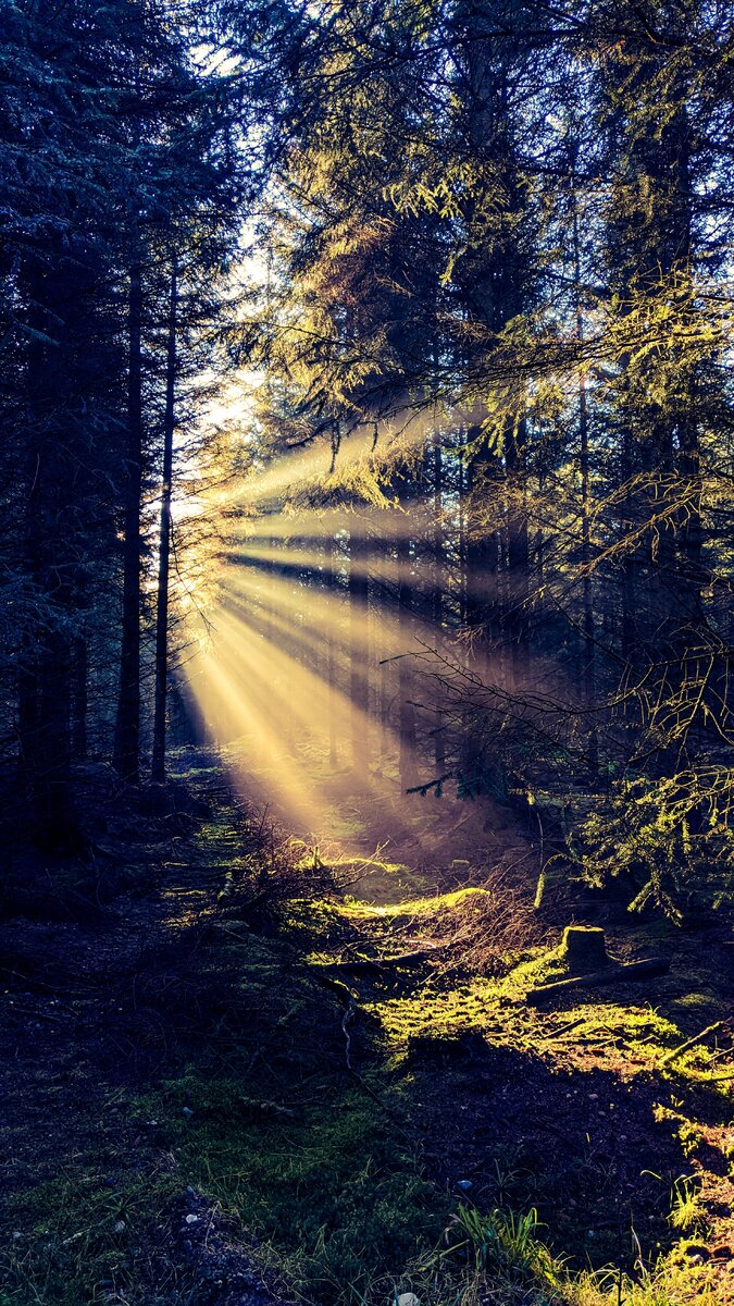 Photo by John Doyle on Unsplash