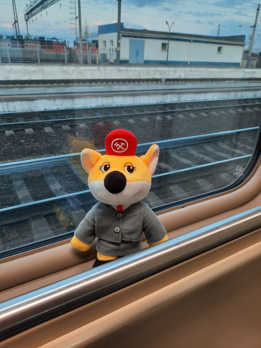 Сувенир из поезда. Фото автора.