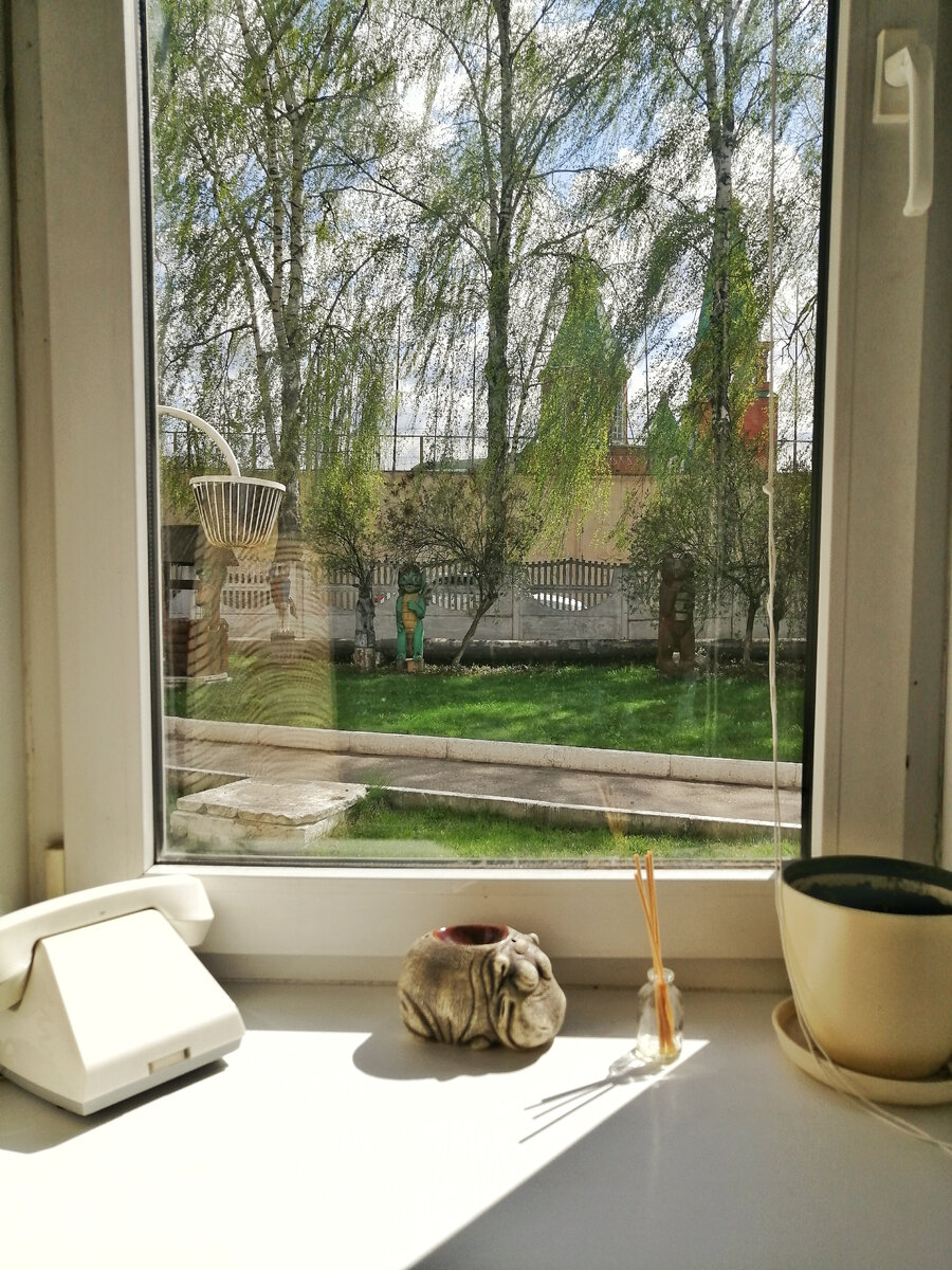 Вид из окна моего рабочего кабинета