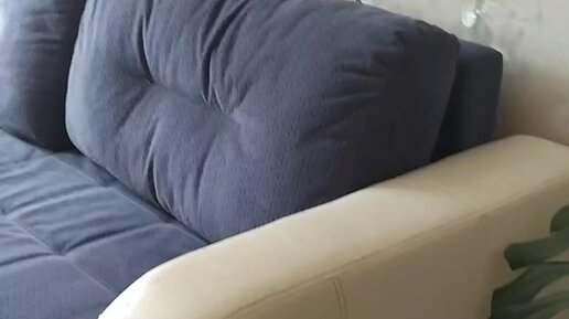 Уговорила родителей не покупать новый диван, пообещала отреставрировать ...