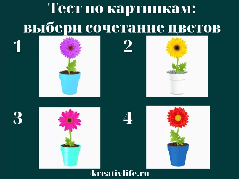 Тесты в картинках