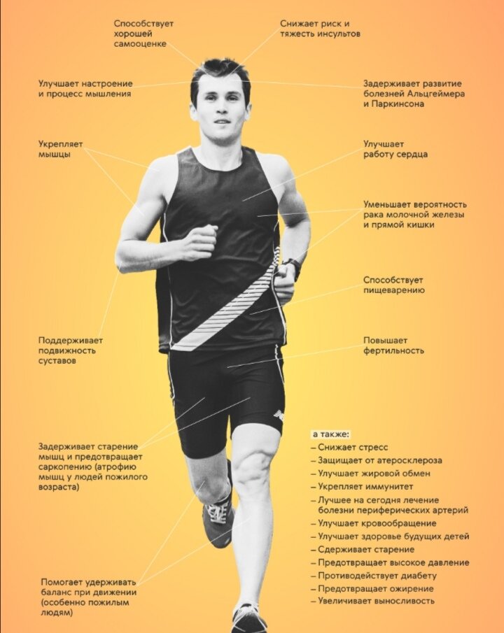 Яндекс. Картинки 