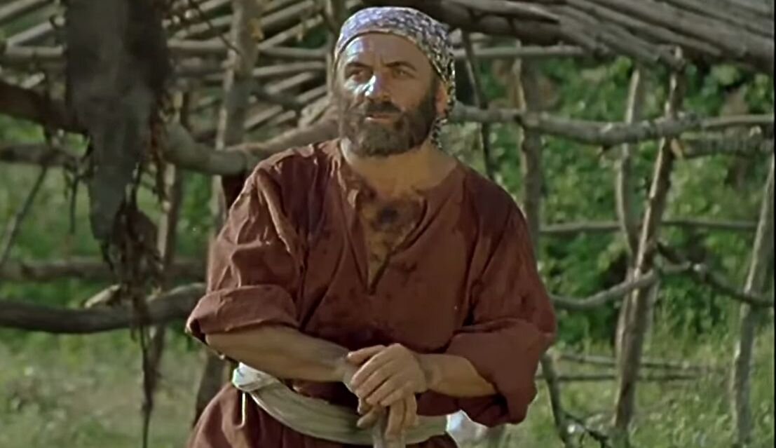 Кадр из кинофильма "Не бойся, я с тобой!", 1981 г., режиссер Юлий Гусман, сценаристы Юлий Дунский, Валерий Фрид, композитор Полад Бюль-Бюль-оглы (скриншот) 