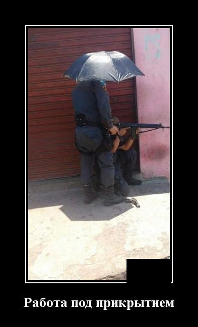 Яндекс картинки