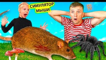 играем с МИЛАНОЙ!! СИМУЛЯТОР! Маленькой МЫШИ Выживание в лесу напал ПАУК детский летсплей от FFGTV