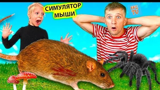 играем с МИЛАНОЙ!! СИМУЛЯТОР! Маленькой МЫШИ Выживание в лесу напал ПАУК детский летсплей от FFGTV