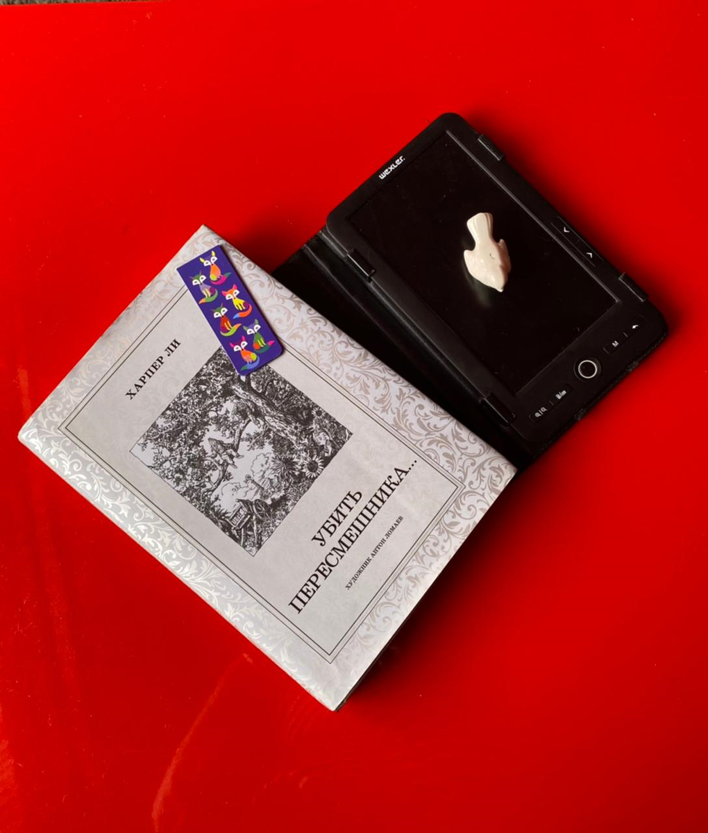 На первый взгляд, достоинства электронной книги неоспоримы.