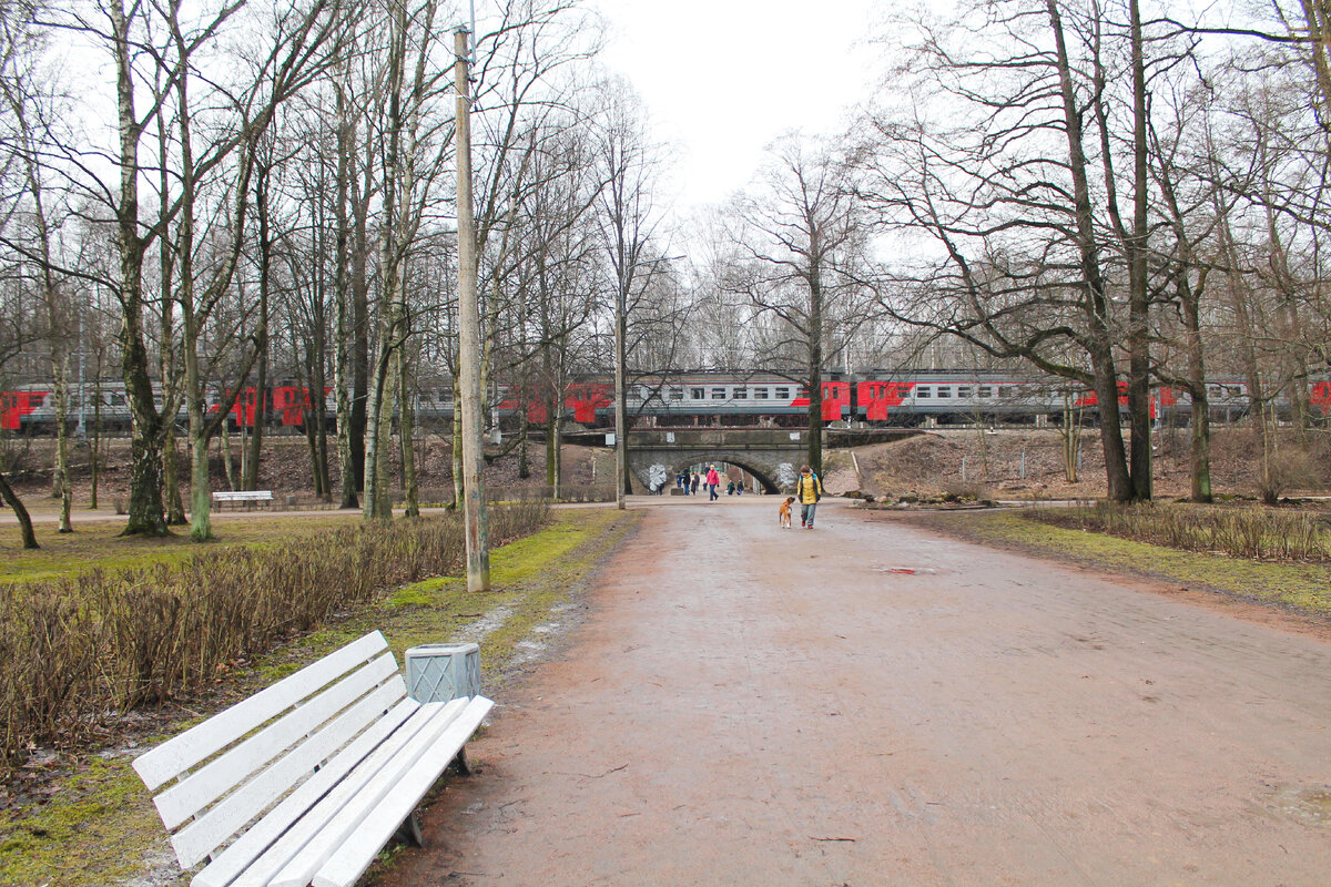 Электричка в Удельном парке. Март, 2020 года