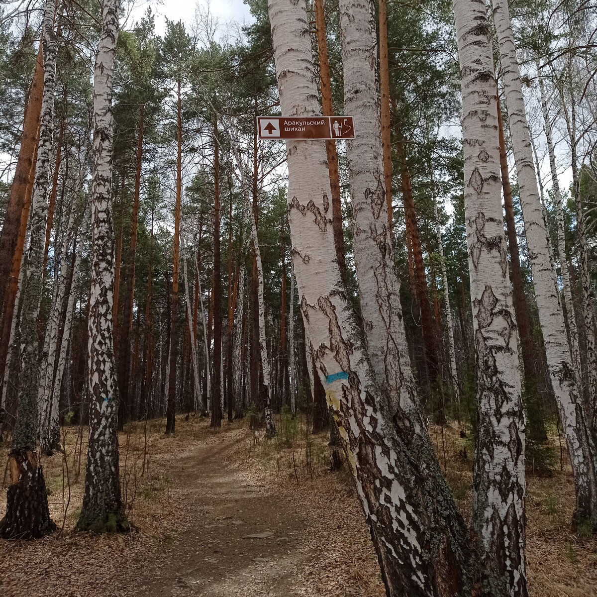 Табличка к Аракульским шиханам